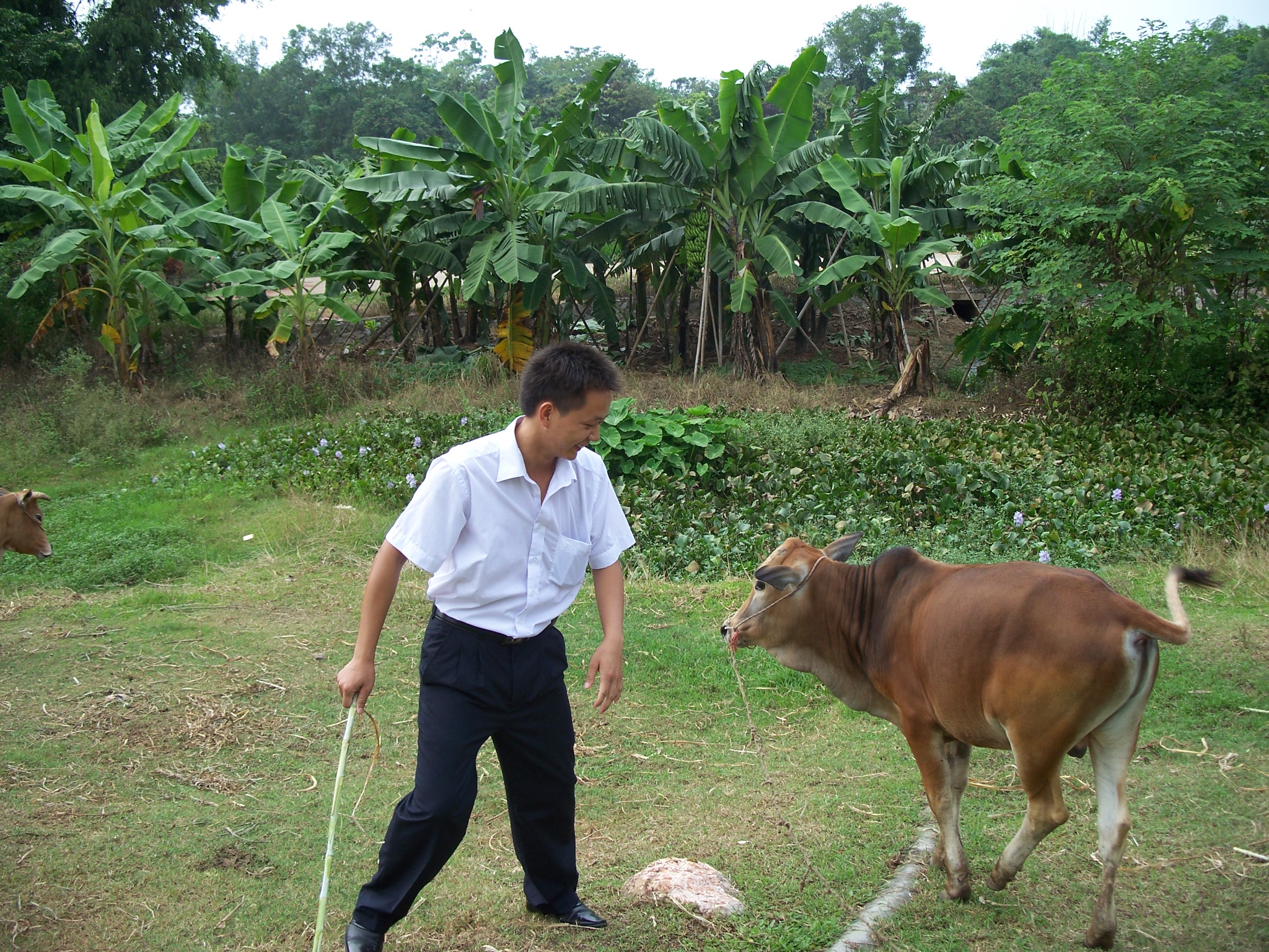 还是不听