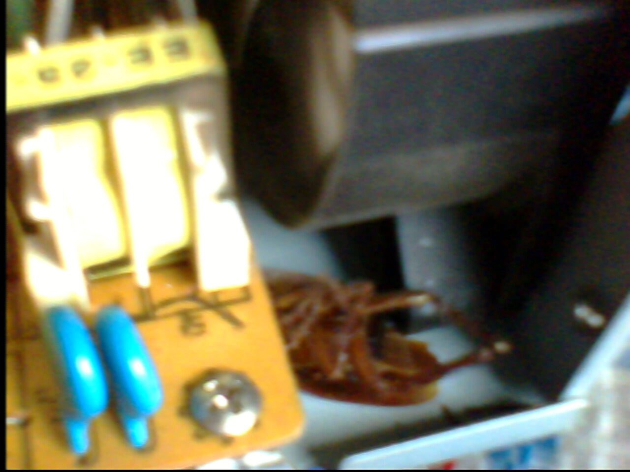 IMG0335A.jpg