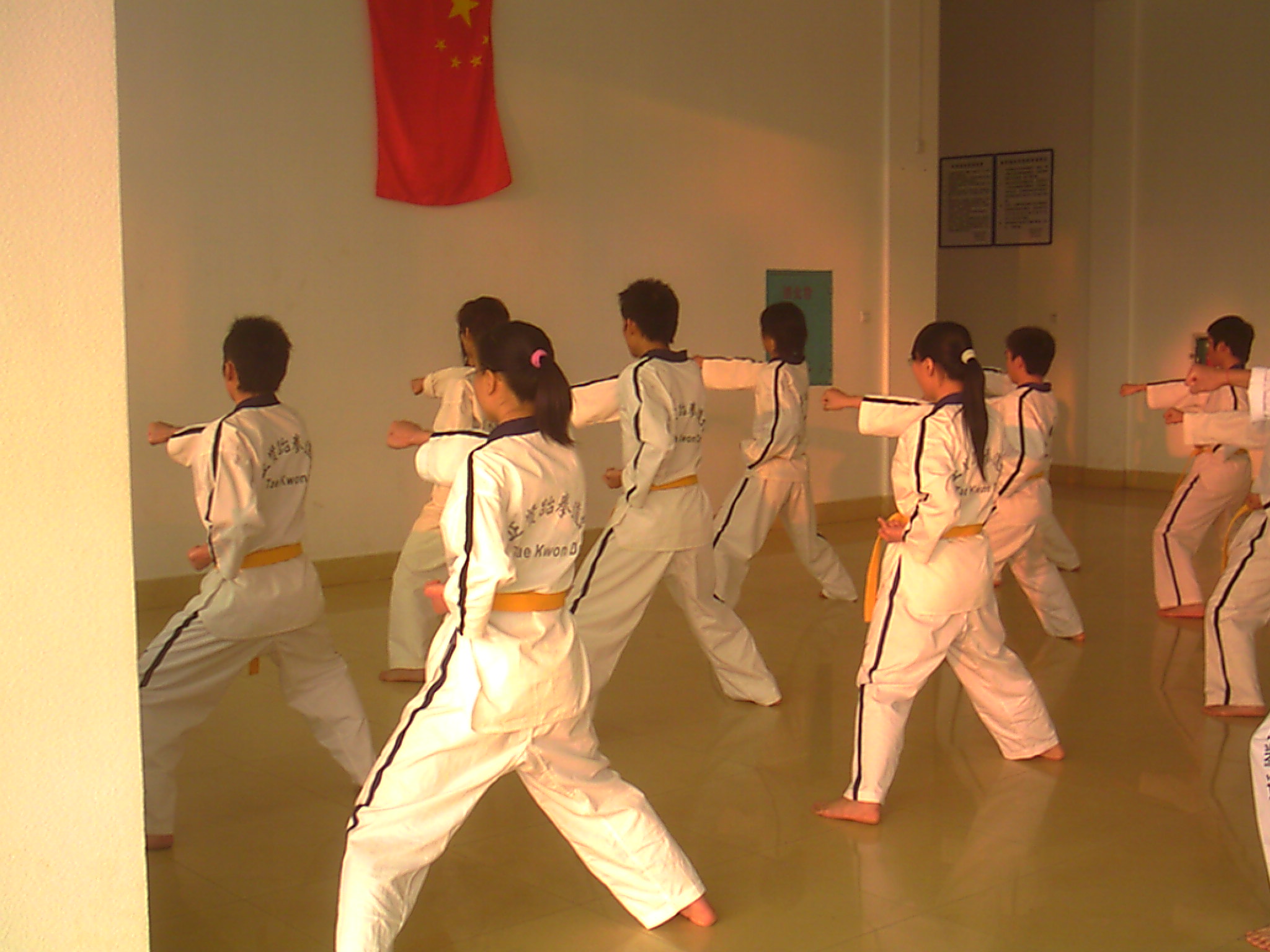 马步冲拳.JPG