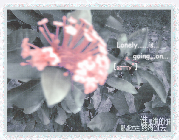 花.lonely...ing.jpg