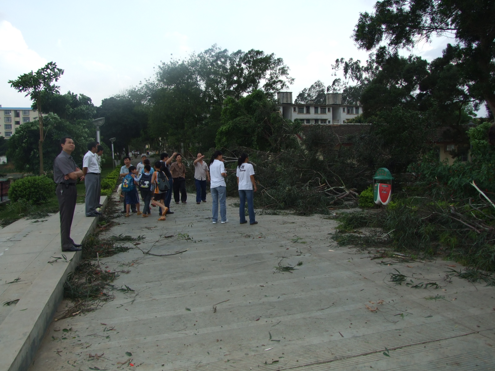 DSCF1226.jpg
