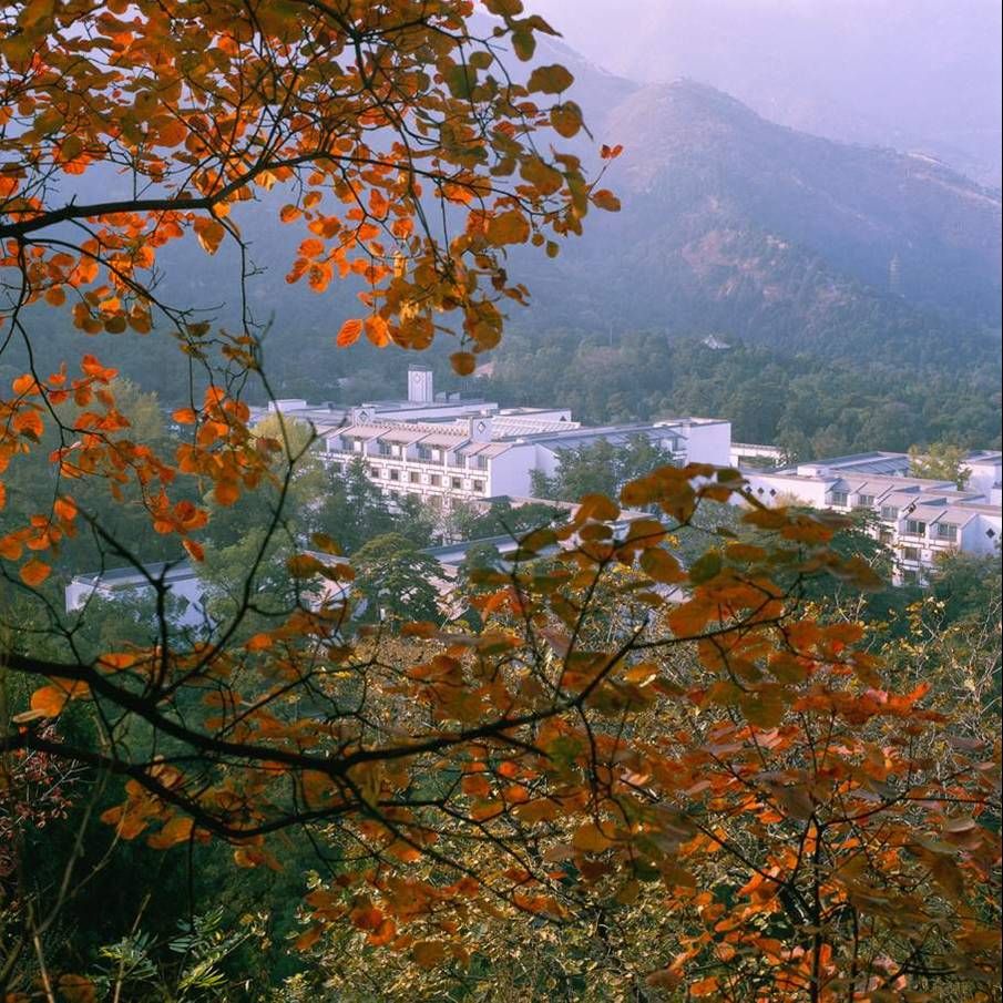 香山紅葉.jpg