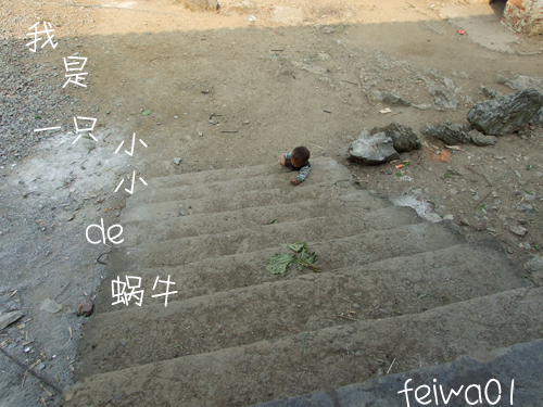 蜗牛1.jpg
