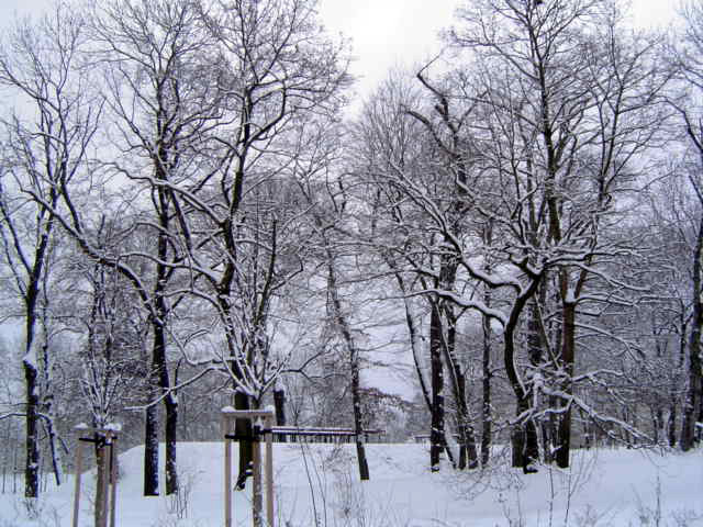 DSC02697.JPG