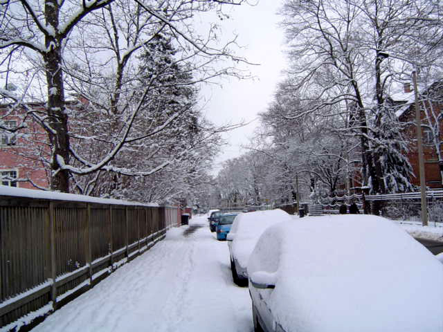 DSC02703.JPG