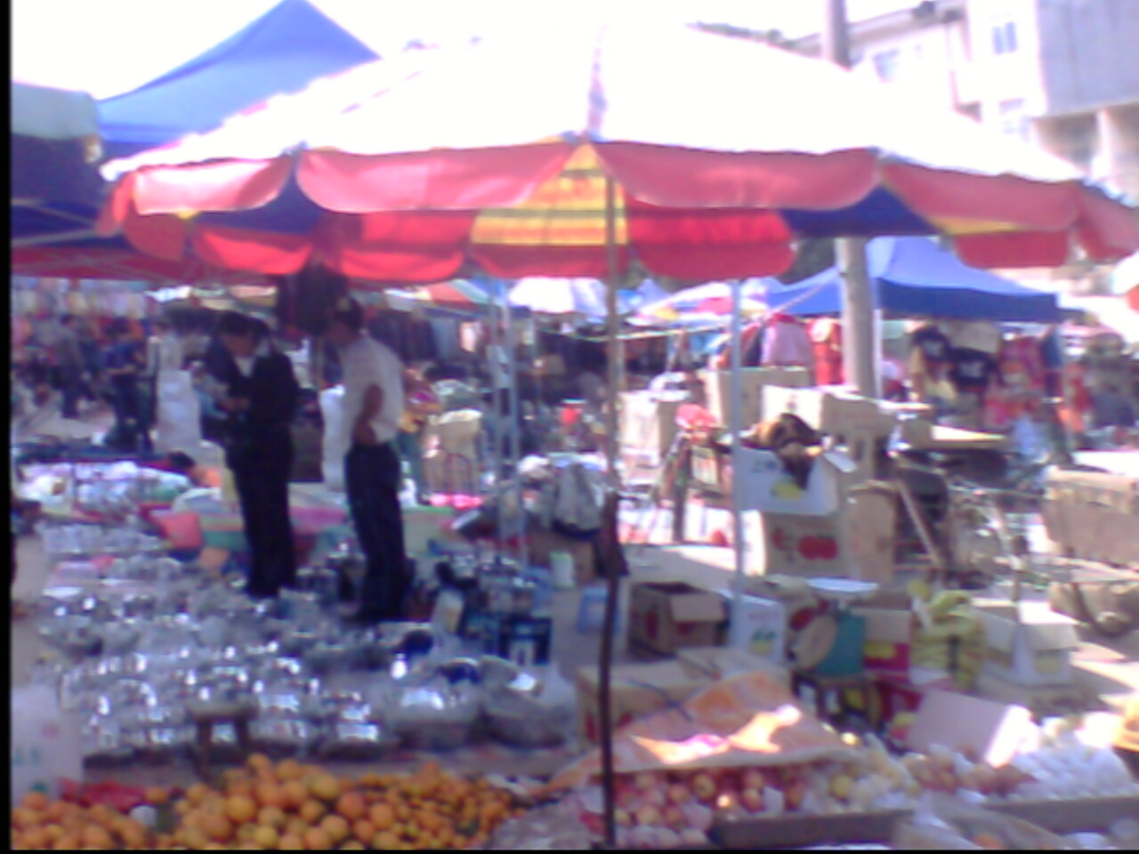 IMG0583A.jpg