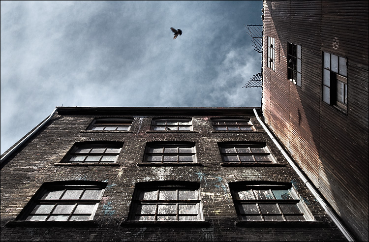 queen_bathurst_birdnest_building_looking_up_01.jpg