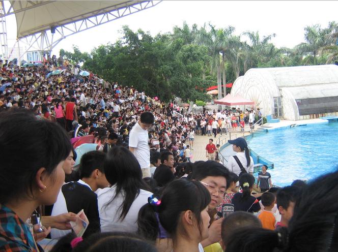 67.jpg