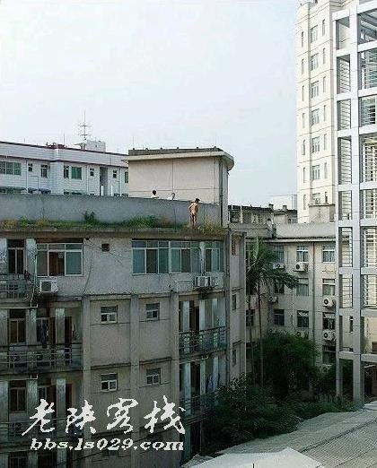 学校师生在楼下努力劝说男生回头！