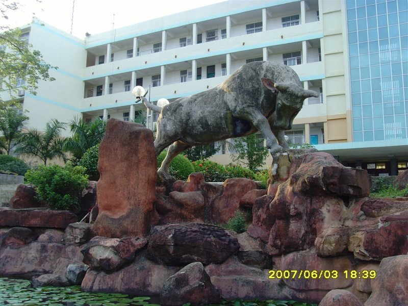 06.jpg