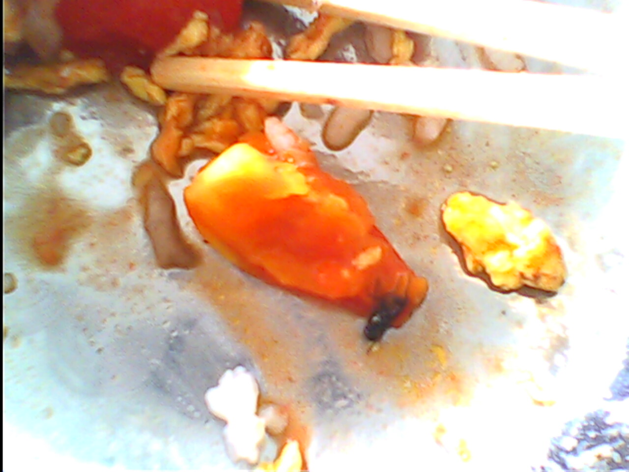 学校食堂的饭菜.jpg