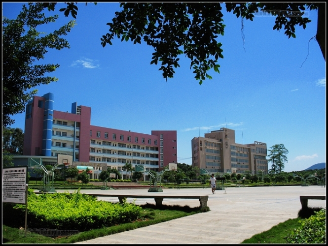 学校2.jpg