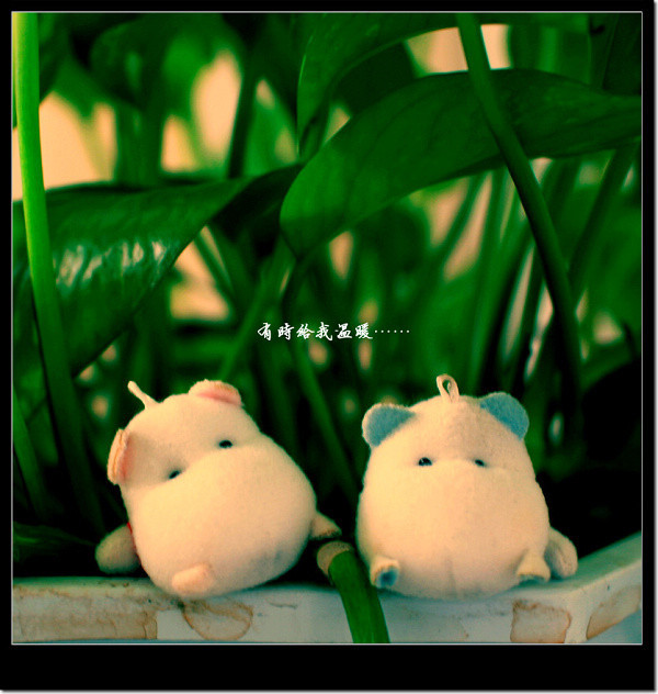 large_XKiw_5264e132016.jpg