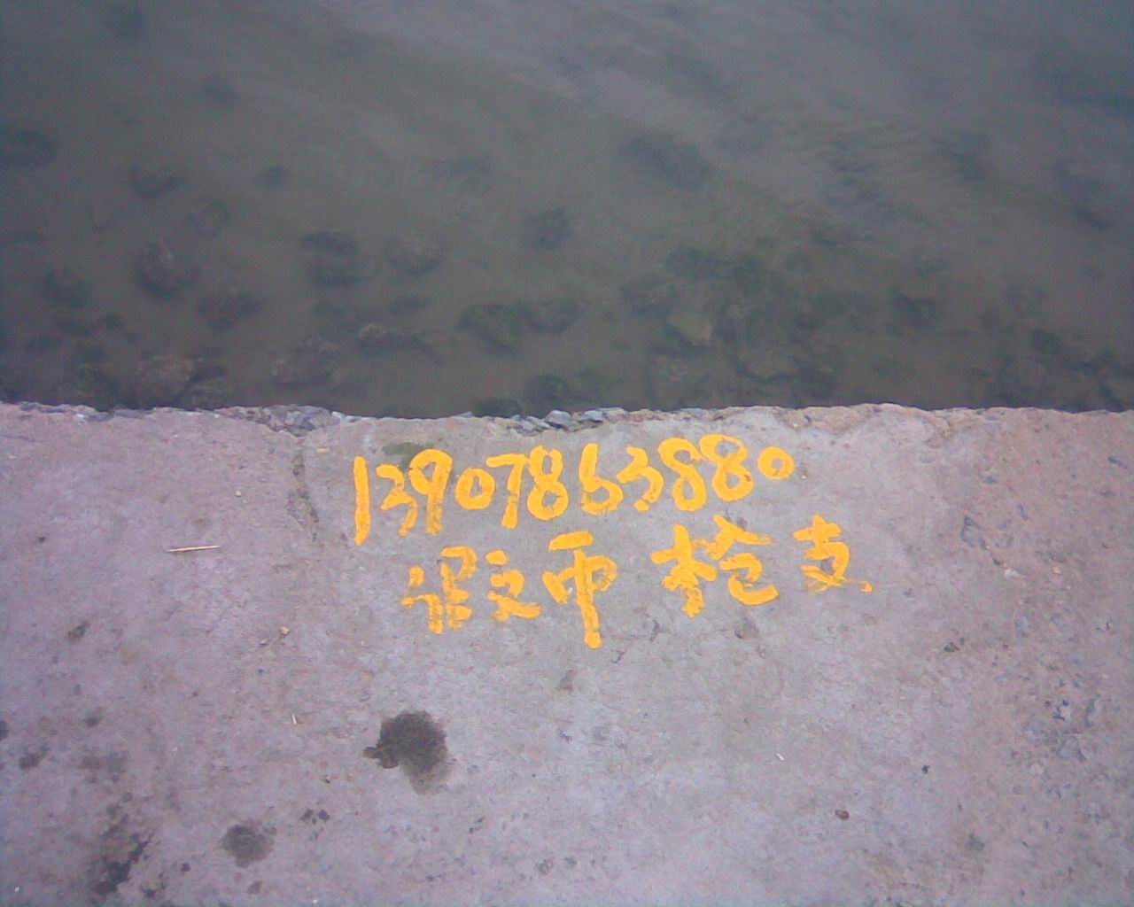 很黄很暴力.jpg