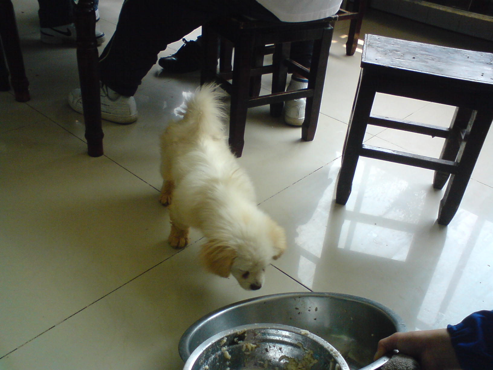 DSC05030.JPG