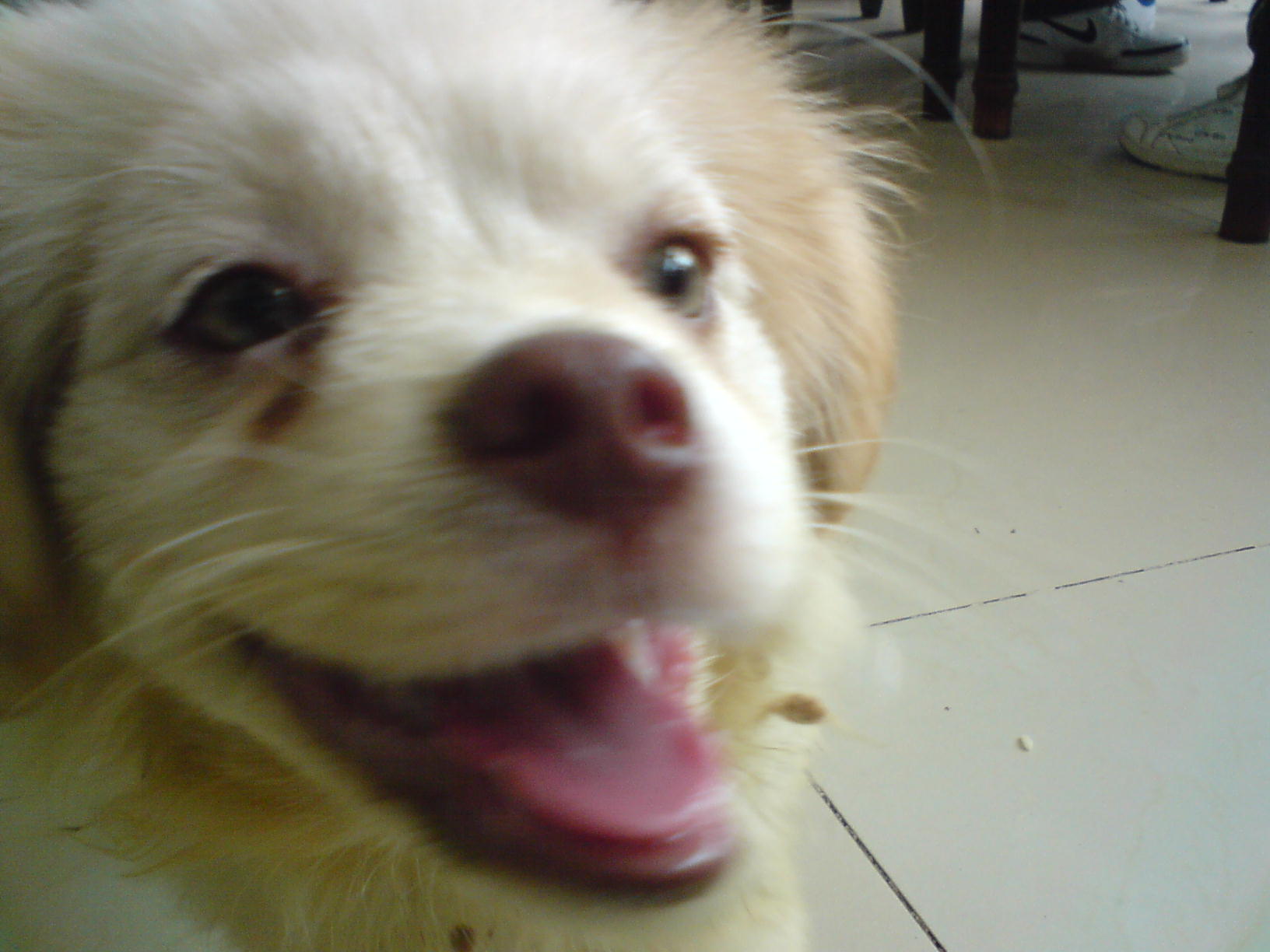 DSC05031.JPG