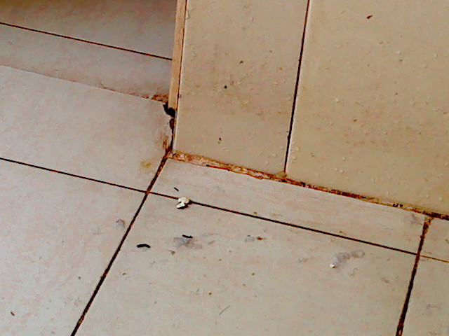 DSC00074.JPG