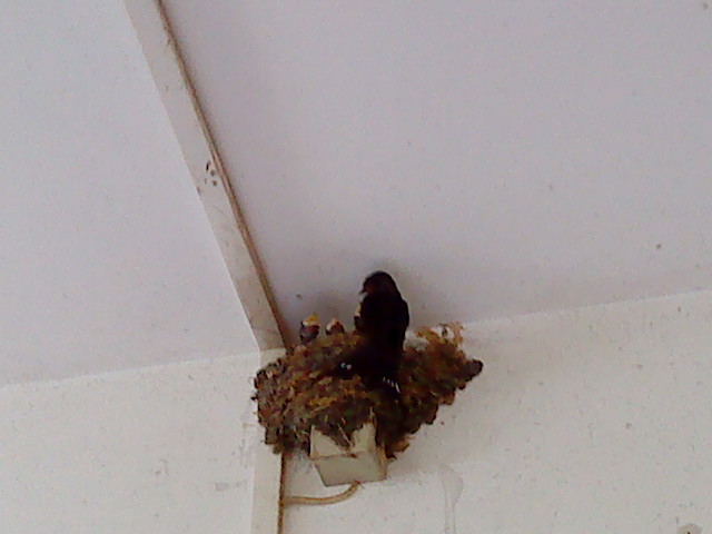 DSC00073.JPG