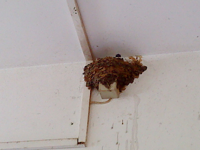 DSC00072.JPG