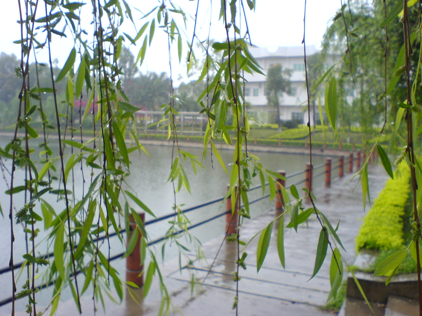 远近皆景.JPG