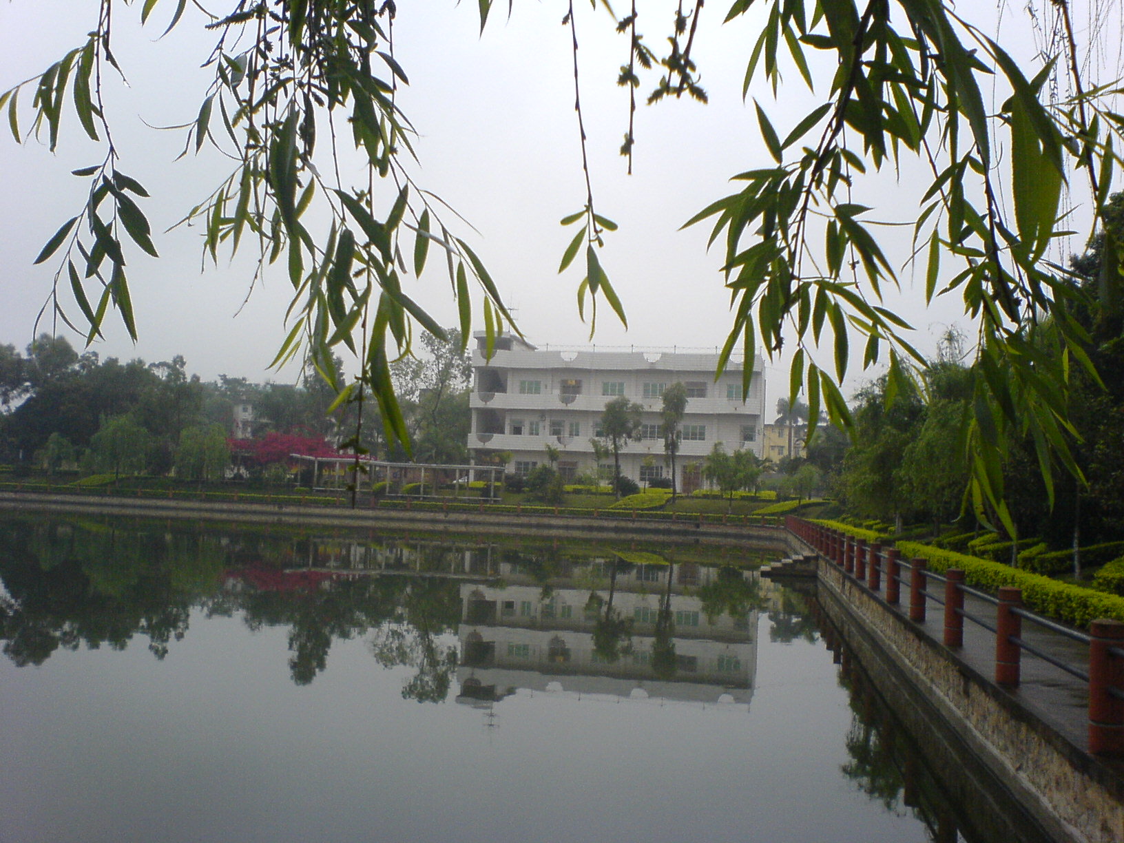 印象·思明湖.JPG