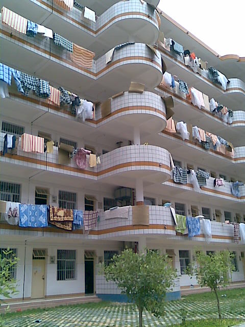 444.jpg
