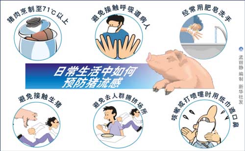 猪流感2.jpg