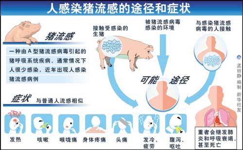 猪流感1.jpg