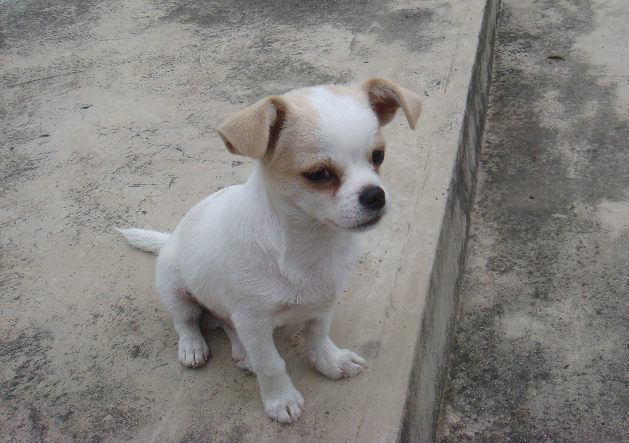 DSC03085.JPG