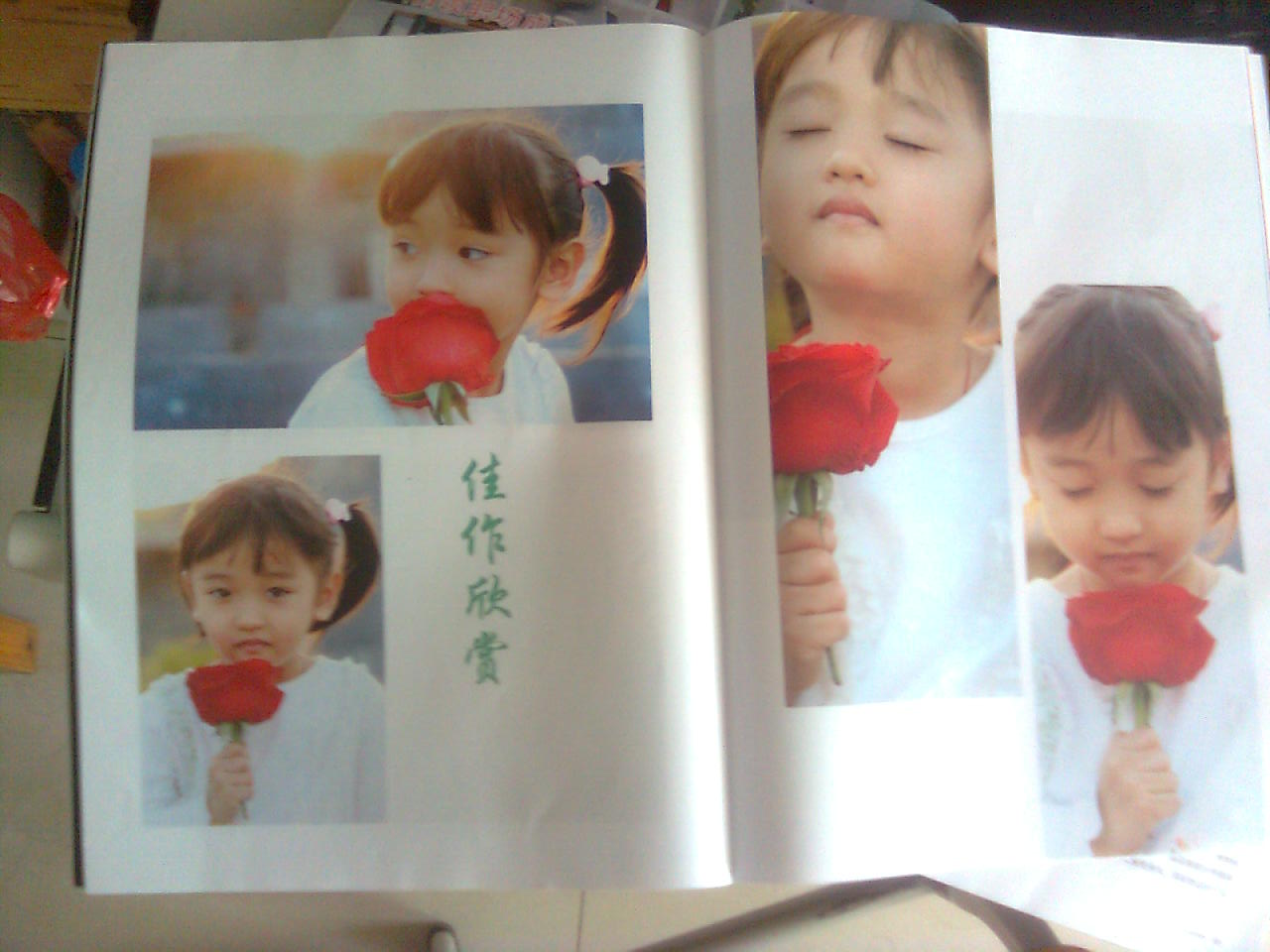 图像1331.jpg