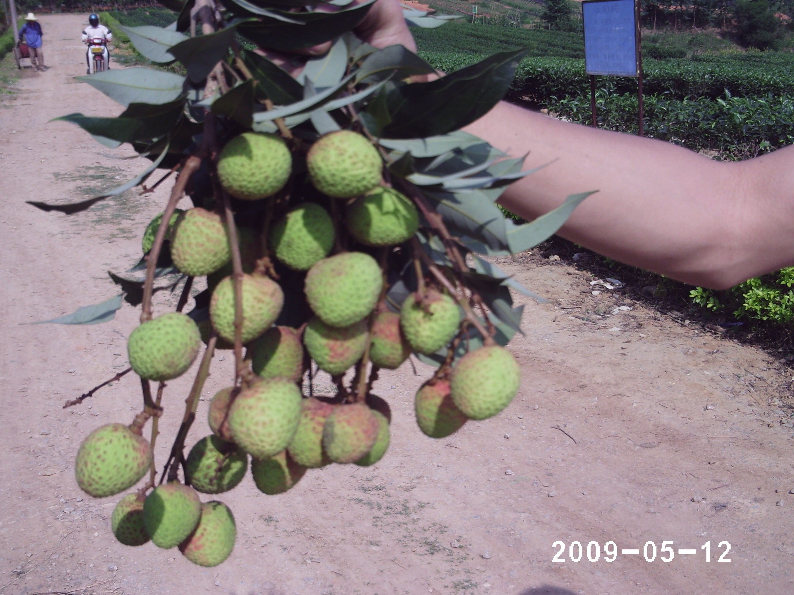PHOT0372.JPG