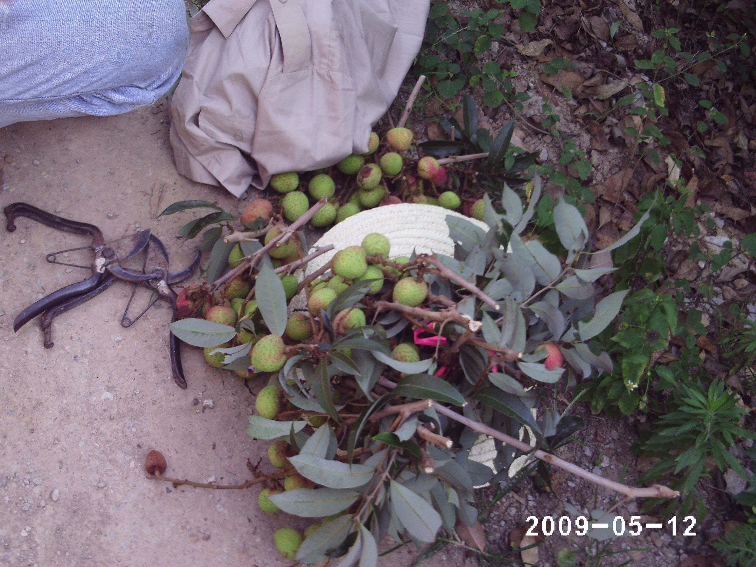 PHOT0375.JPG