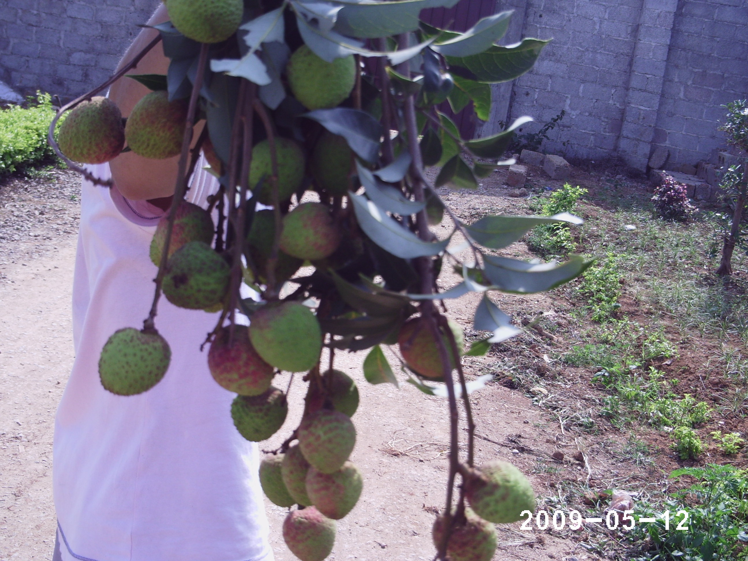 PHOT0374.JPG
