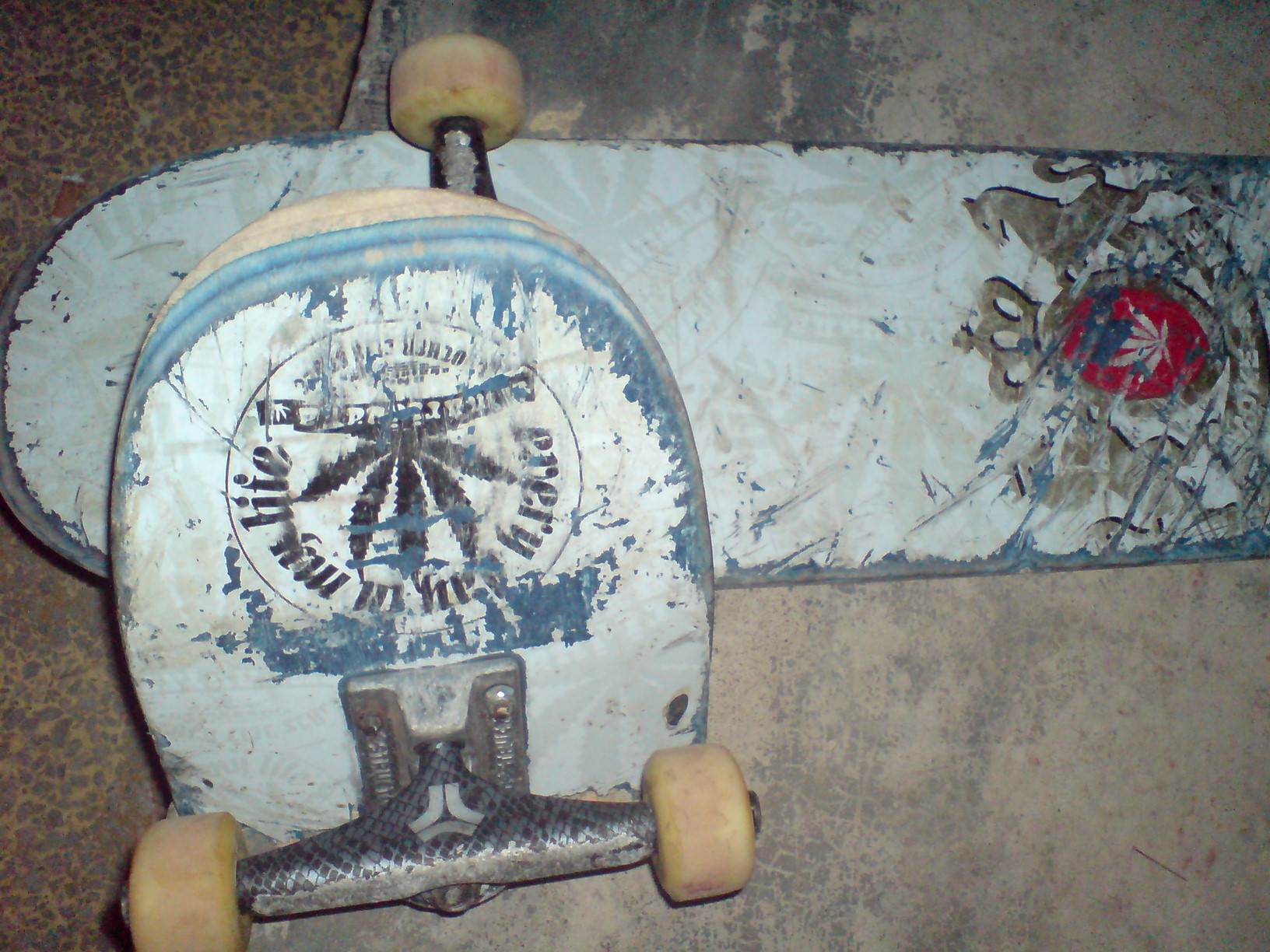 DSC01031.JPG