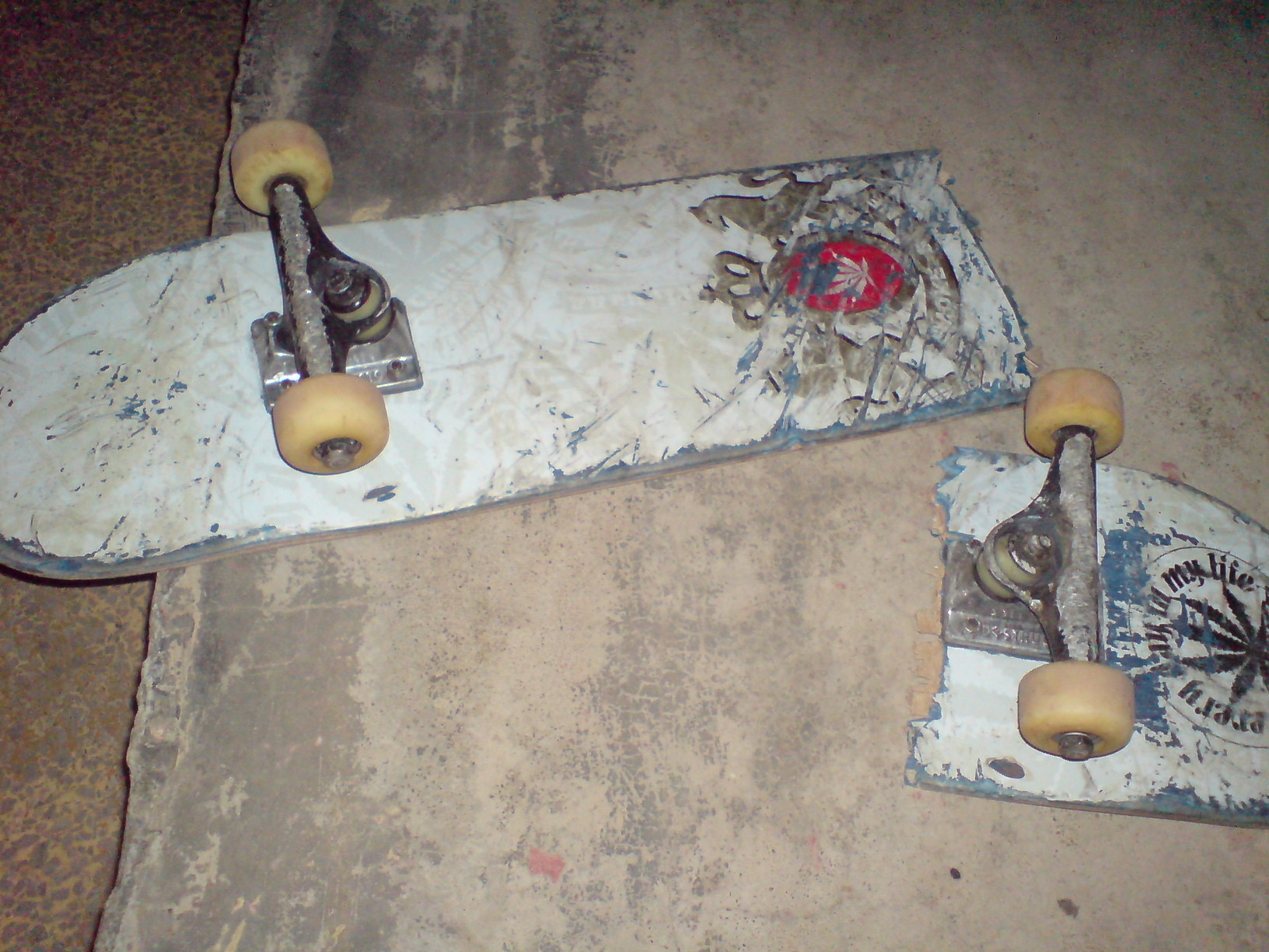 DSC01030.JPG