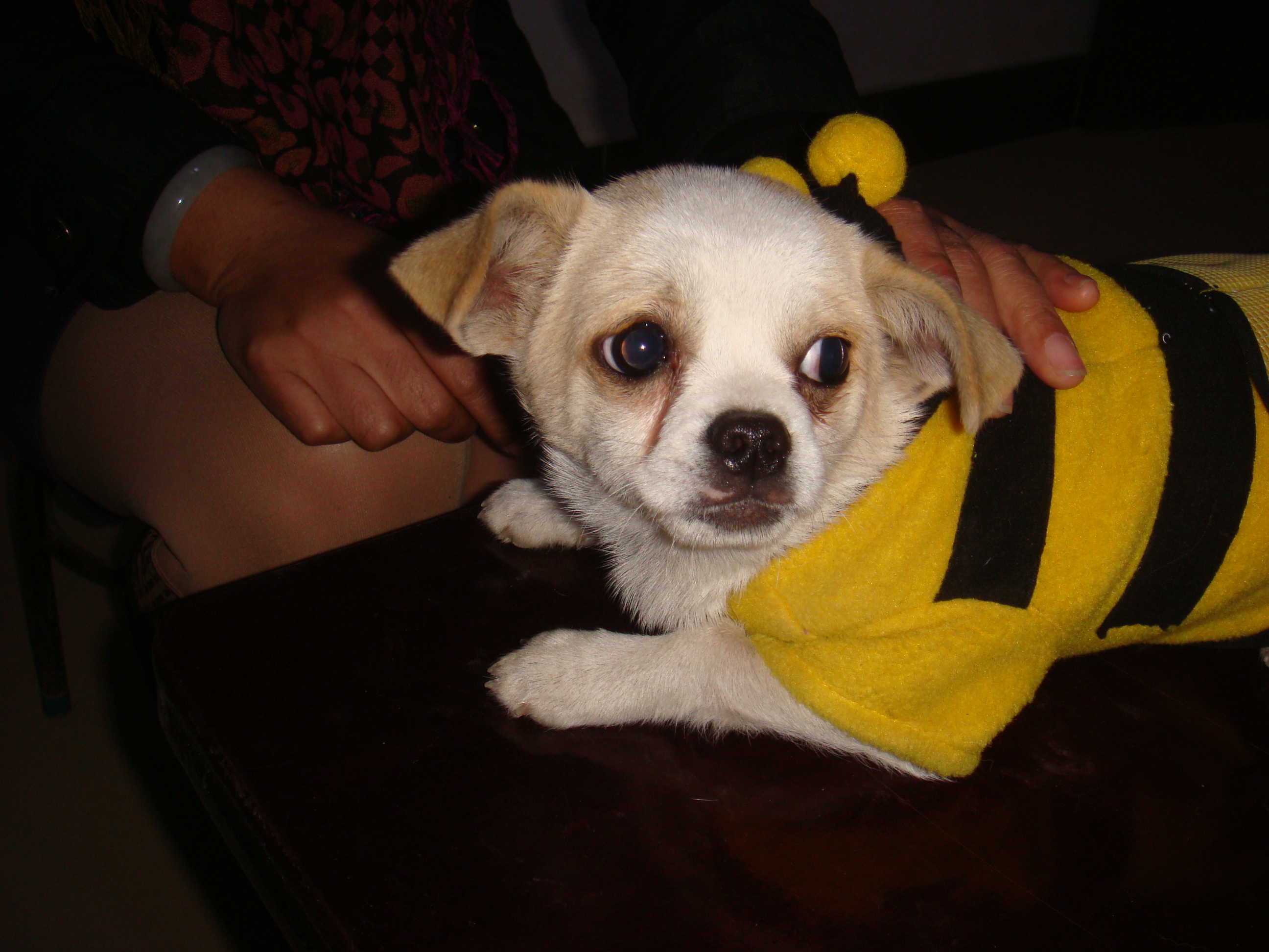 DSC03188.JPG