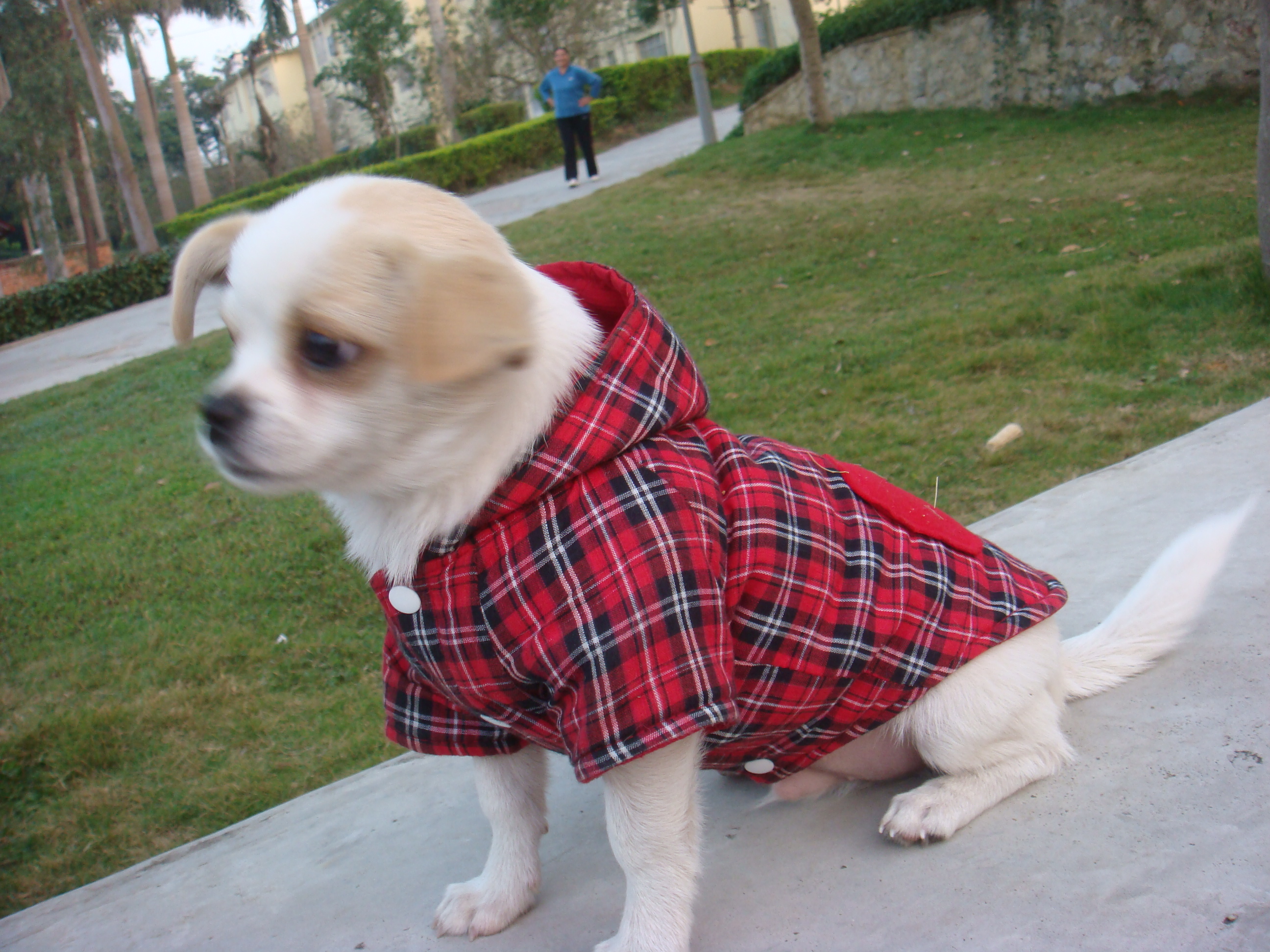 DSC03111.JPG