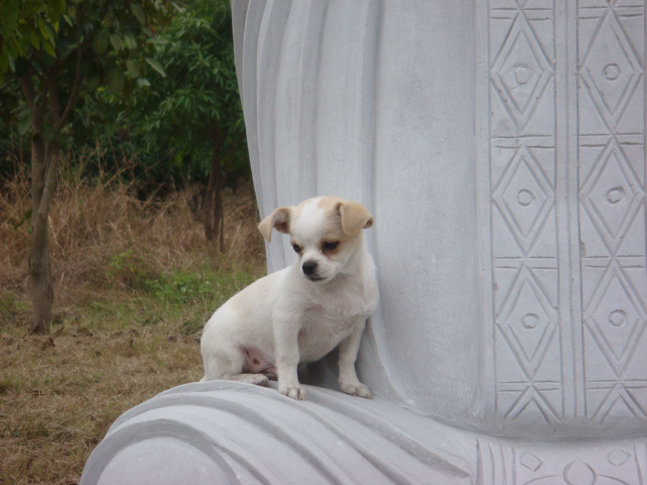 DSC03074.JPG