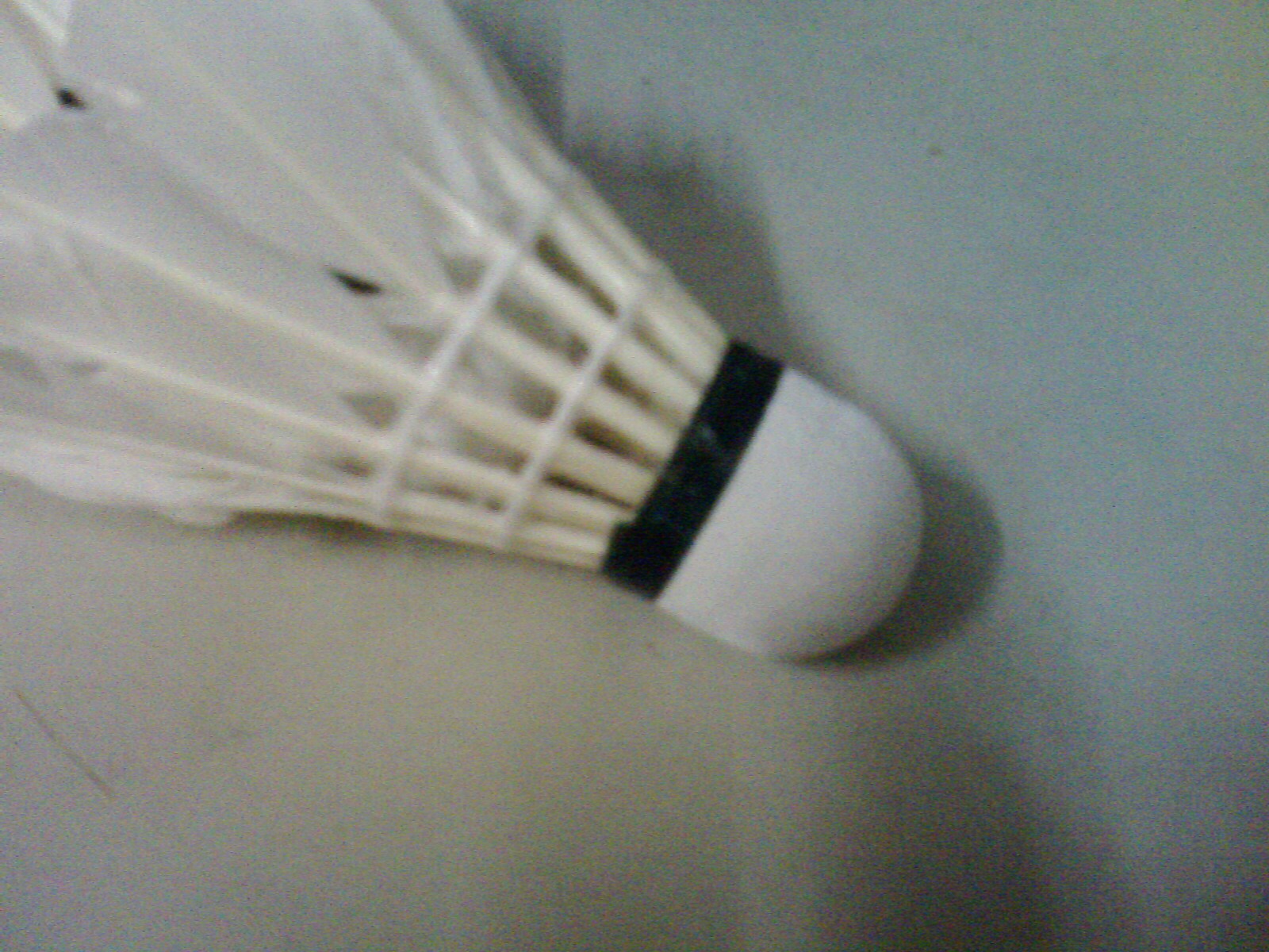 IMG1434A.jpg