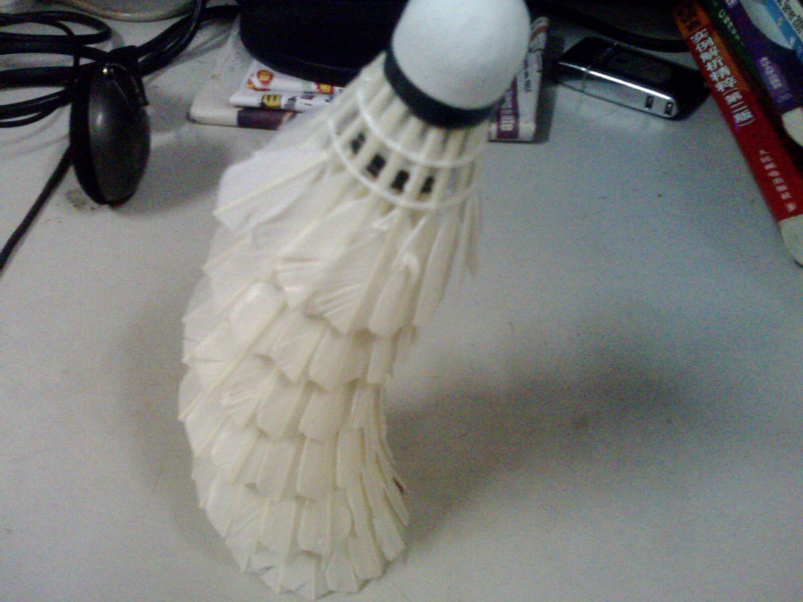 IMG1433A.jpg