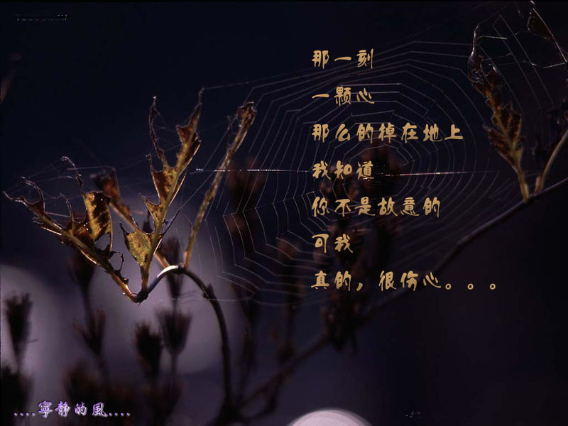 a81db90a16a0a63a94ca6b59.jpg