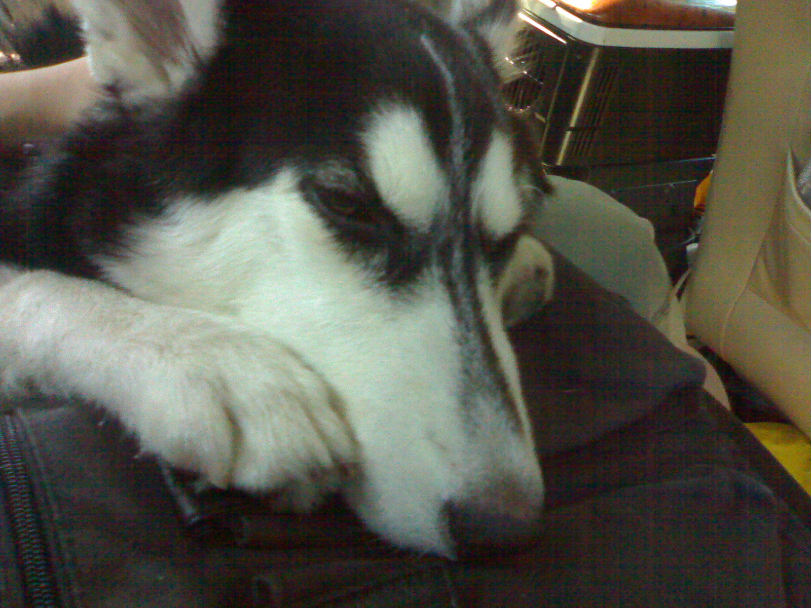 200907116151.jpg