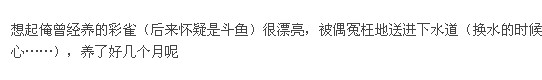 QQ截图未命名.jpg
