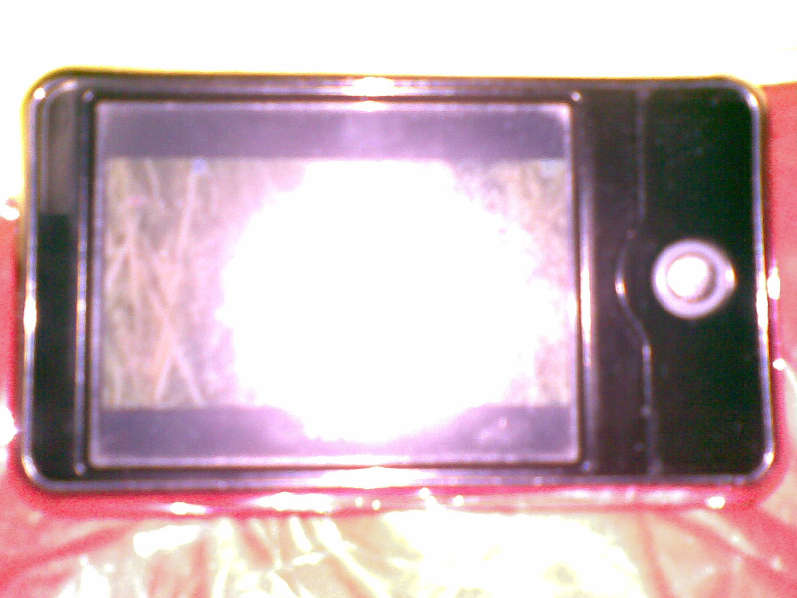 20091224_007.jpg