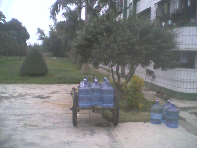 PIC_5294.jpg