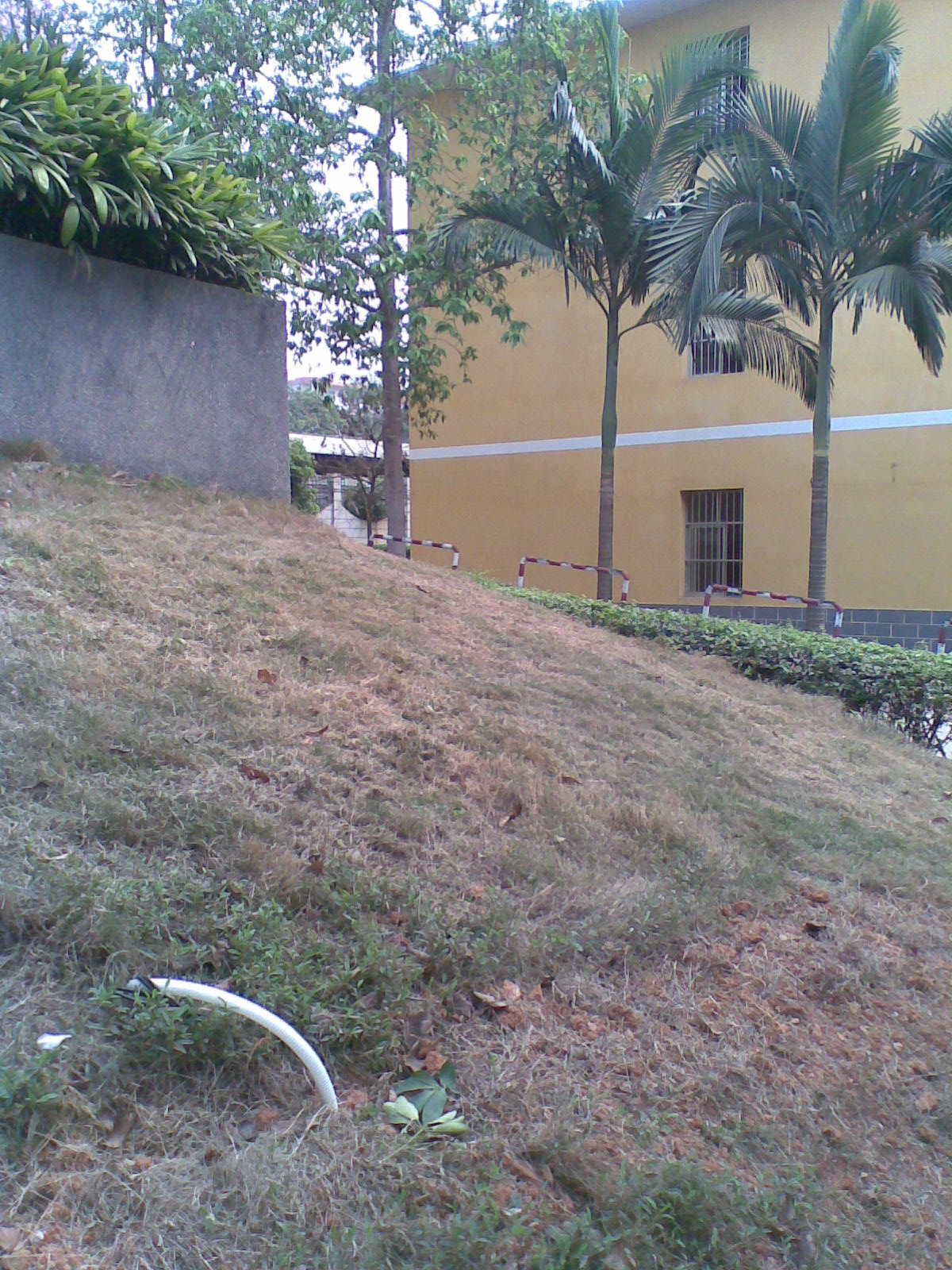 20100328_005.jpg