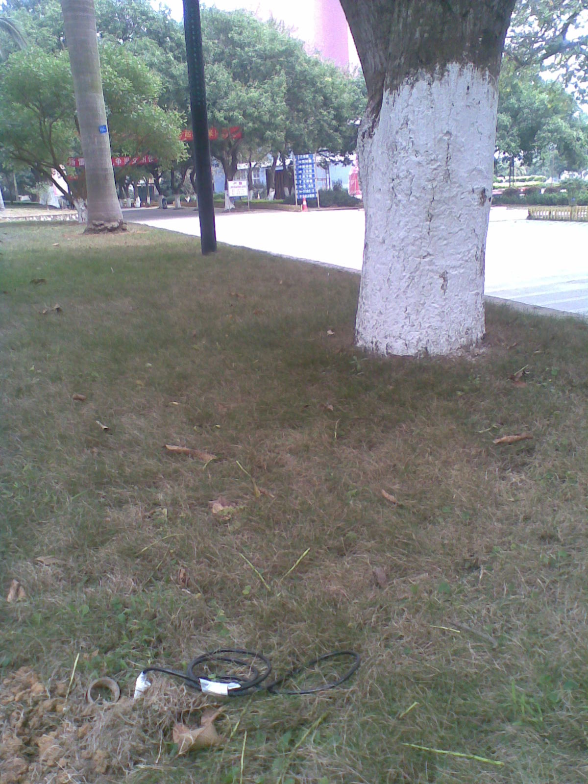 20100328_009.jpg