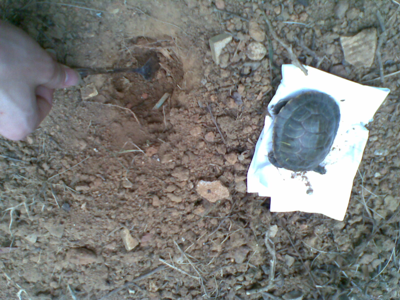 20100401_007.jpg