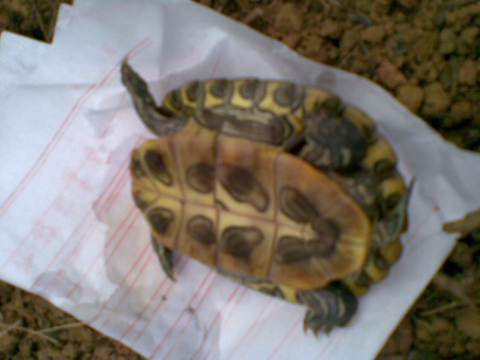 20100401_002.jpg