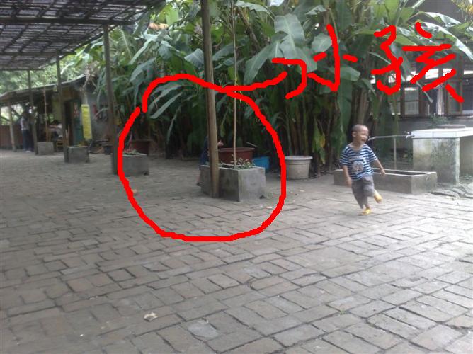 1004030539d29f3197c9339fac发功.jpg.thumb.JPG